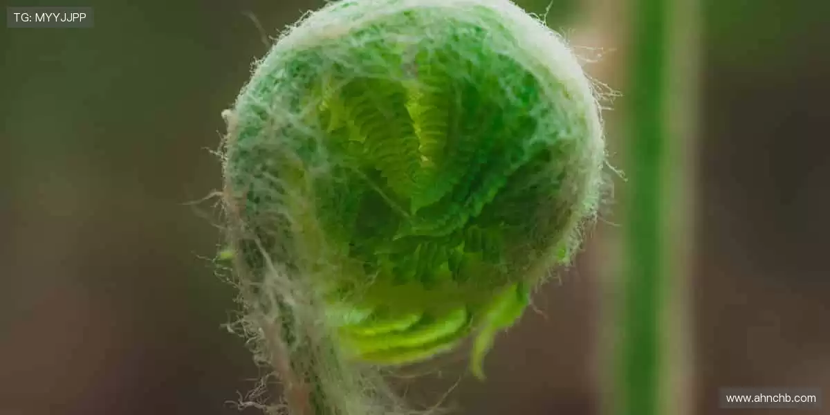 一键订阅,精彩不断!🔔🏐